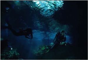 Chac Mool Cenote, Akamal, Mexico, Housed N90s, 18mm lens by Quinn F. Harry 